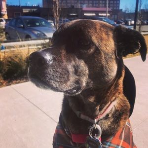 Meet your Posher, Brandon